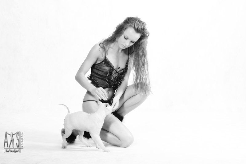 девушка, красивая, , фотограф, роман, большаков, advokatstudio, аквастудия Про родственные кошачьи натуры....photo preview