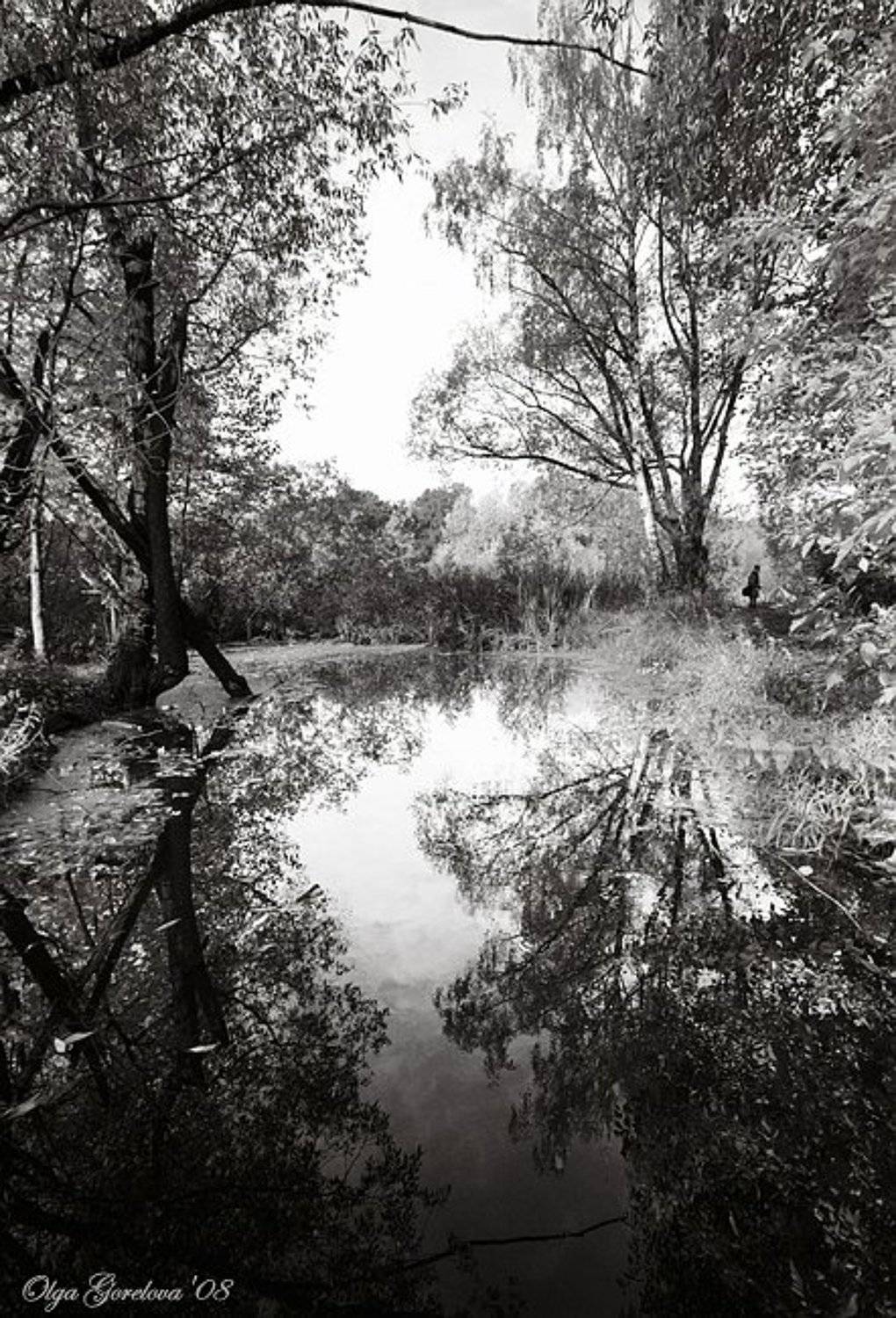 москва, парк, путник, осень, Olga Gorelova