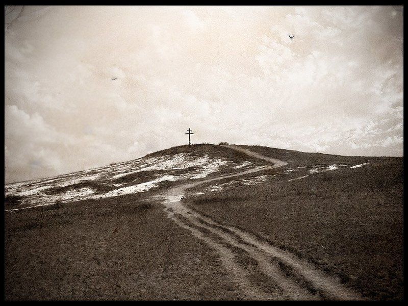 Дорога фото превью