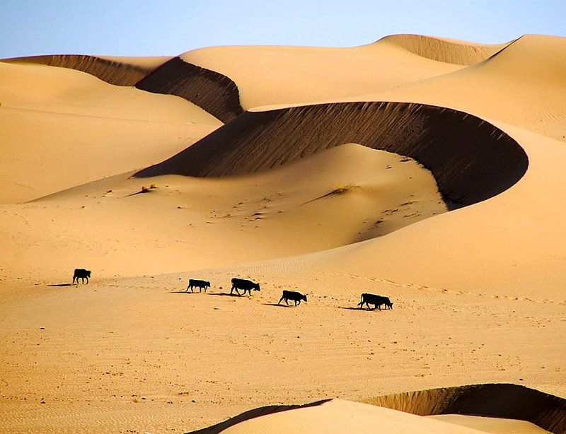 Пески Туйесуphoto preview