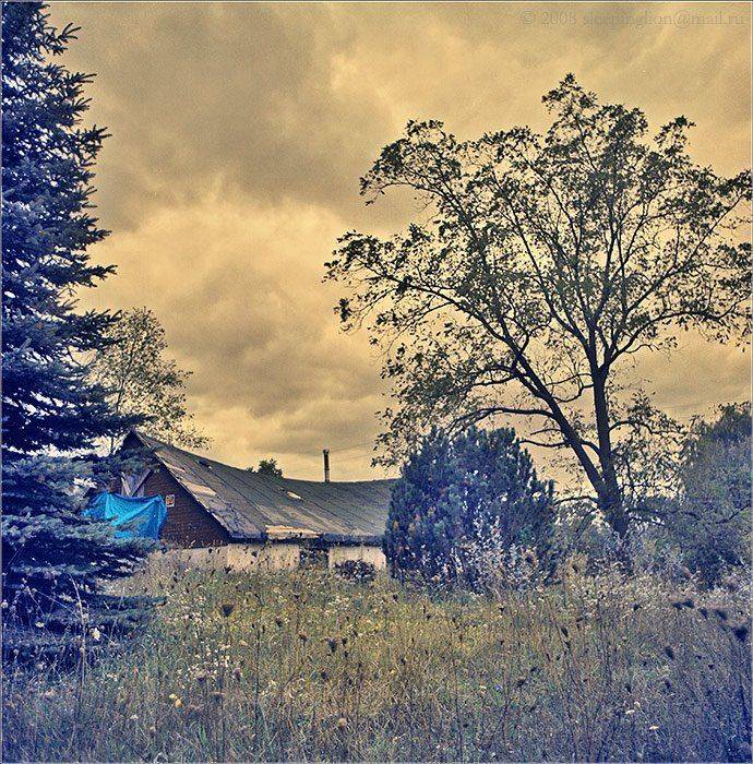 пейзаж, пленка, 120 film, средний формат, medium format, 6x6, киев-60, pilgrim, Pilgrim