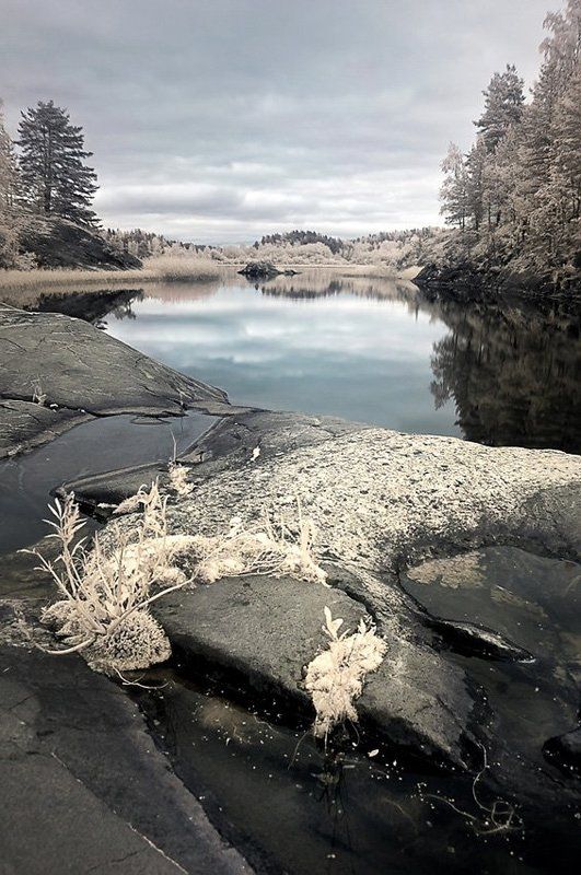 IR Ладогаphoto preview