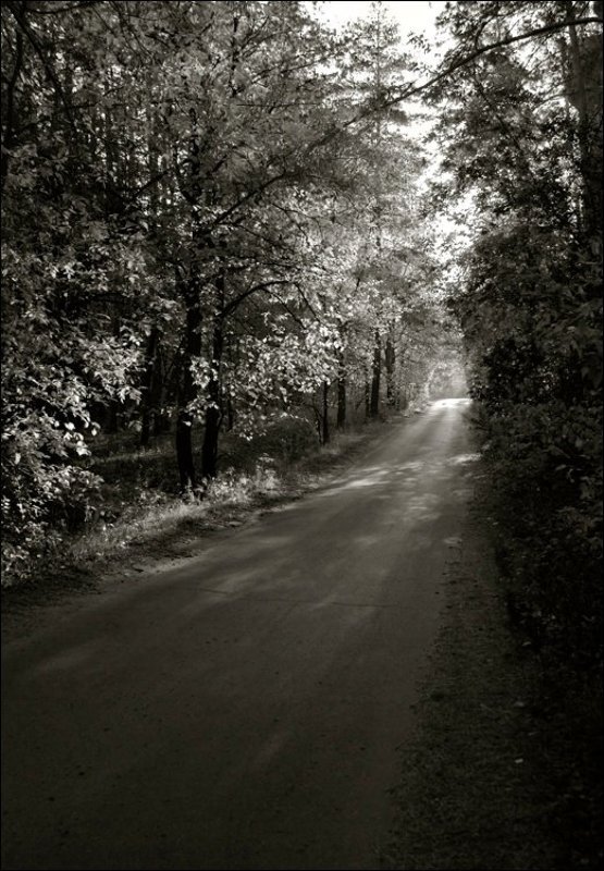 Через лесок, за бугорок ...photo preview