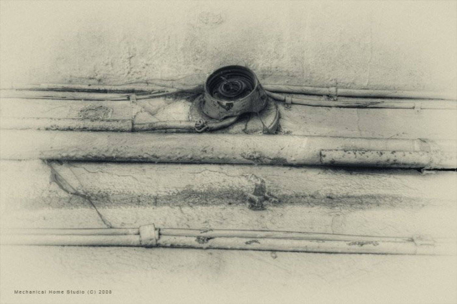 мёртвый, свет, Сборщик