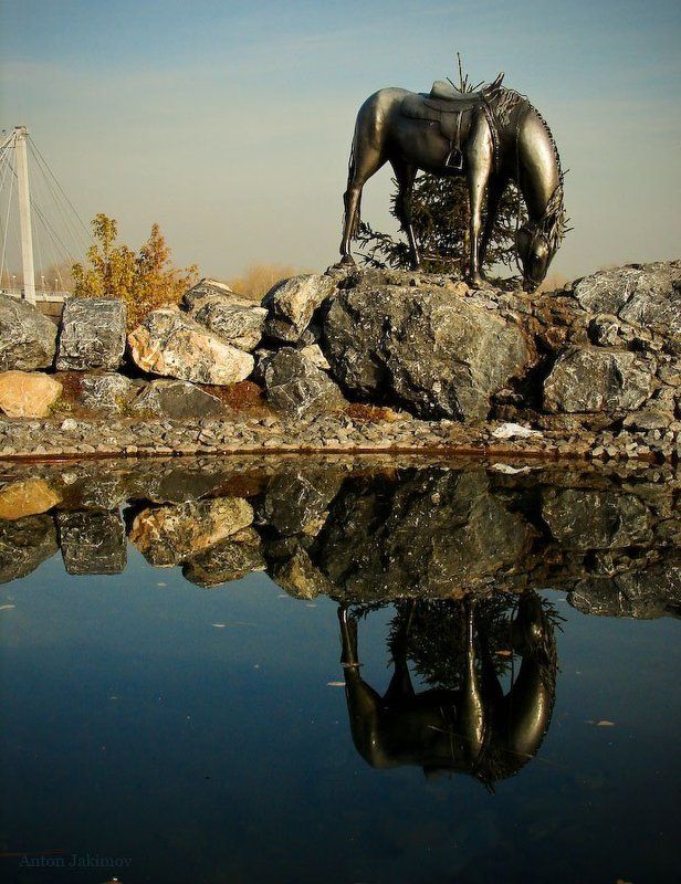 лошадь, конь, водопой, красноярск photo preview