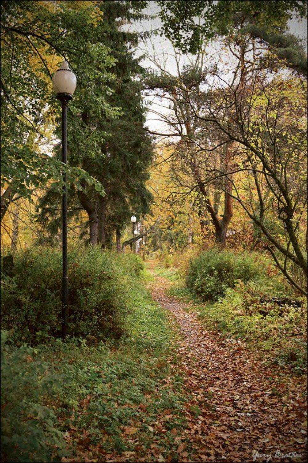 петергоф, осень, Братаев Юра