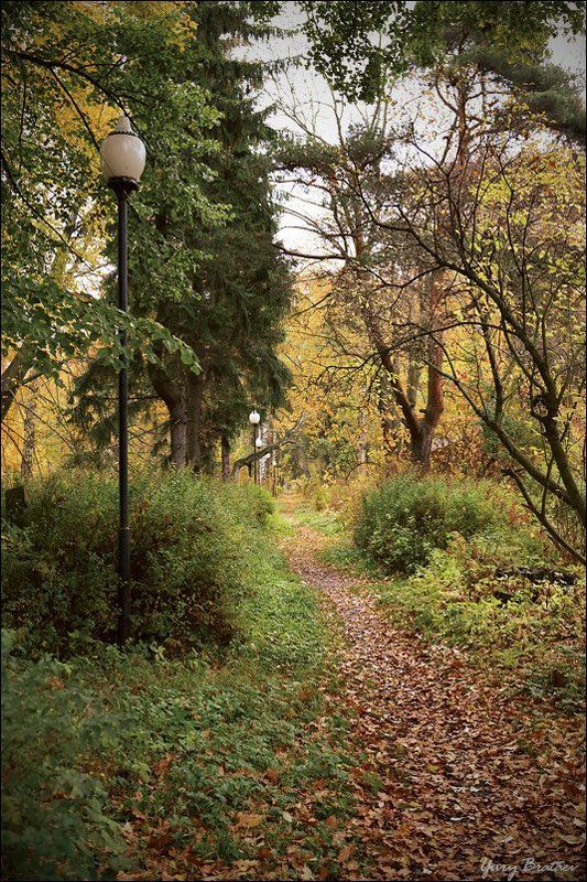 петергоф, осень photo preview