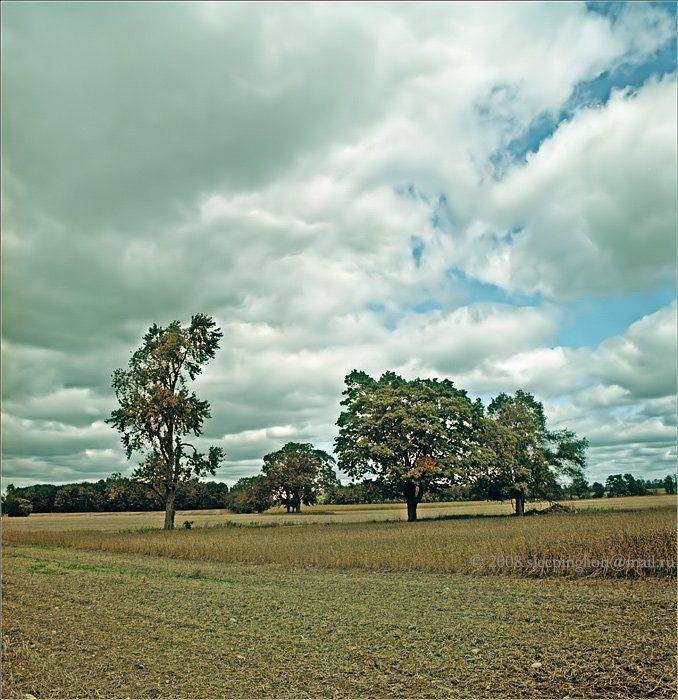 Under pain..... Автор: Pilgrim пейзаж, пленка, средний формат, 6х6, киев-60, pilgrim, medium format, kiev-60, Pilgrim