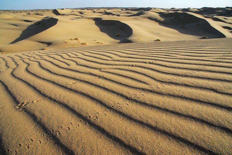 следы, на, песке photo preview