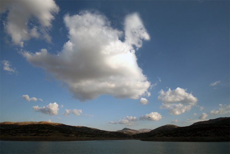 птичкиphoto preview