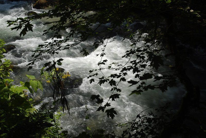 абхазия, страна души Горная речкаphoto preview