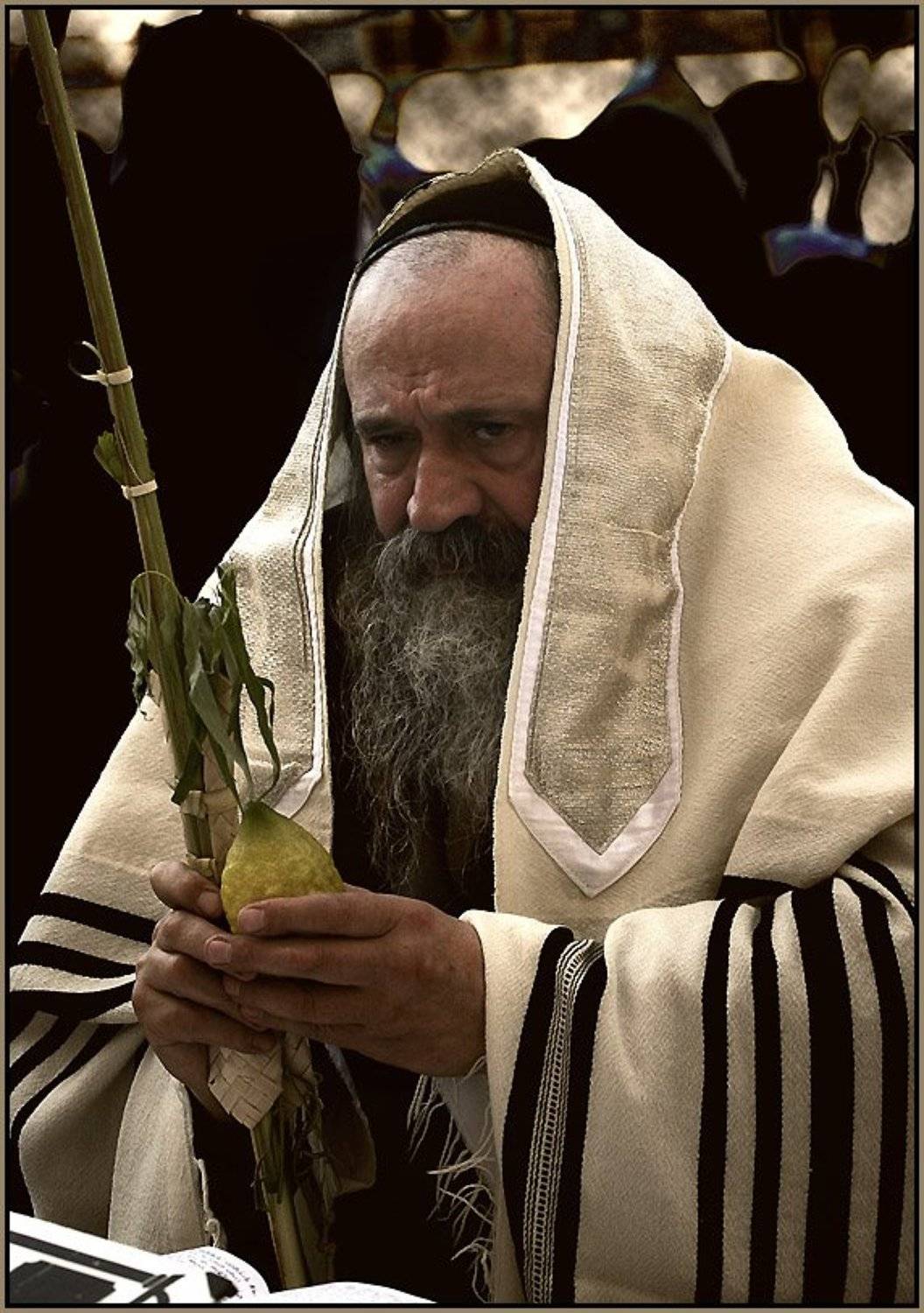 , Alexander Tolchinskiy