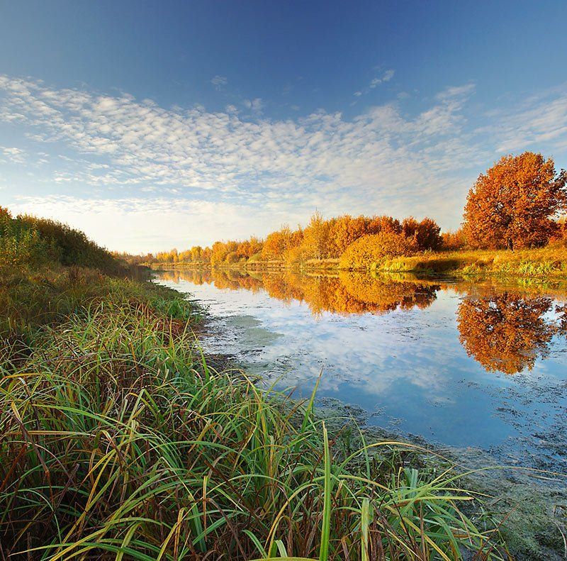 золотая, осень ***photo preview