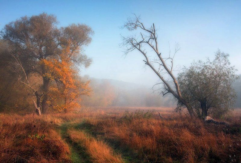 Пройдись, вдохни...photo preview