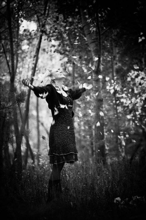 * * *. Автор: Роман Быков , Роман Быков