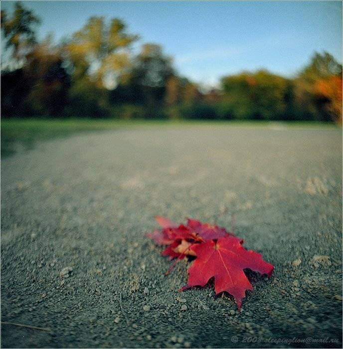 пейзаж, пленка, средний формат, 6х6, киев-60, pilgrim, medium format, kiev-60, Pilgrim