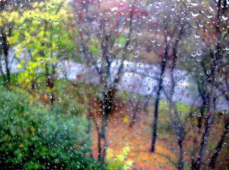 осень , дождь , красота Color Rainphoto preview