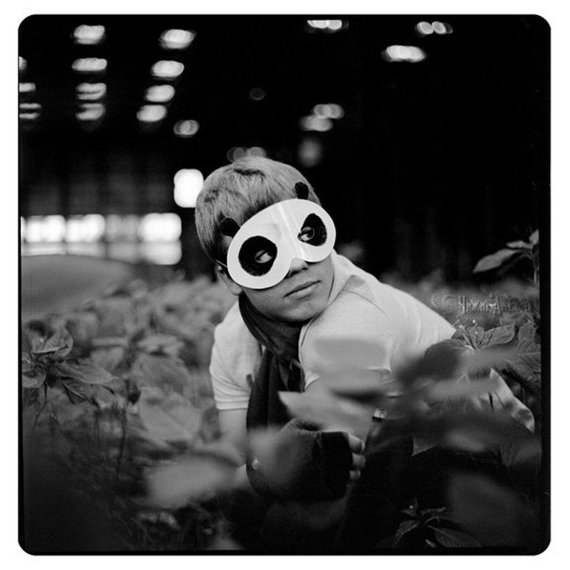 киев88 * фото превью