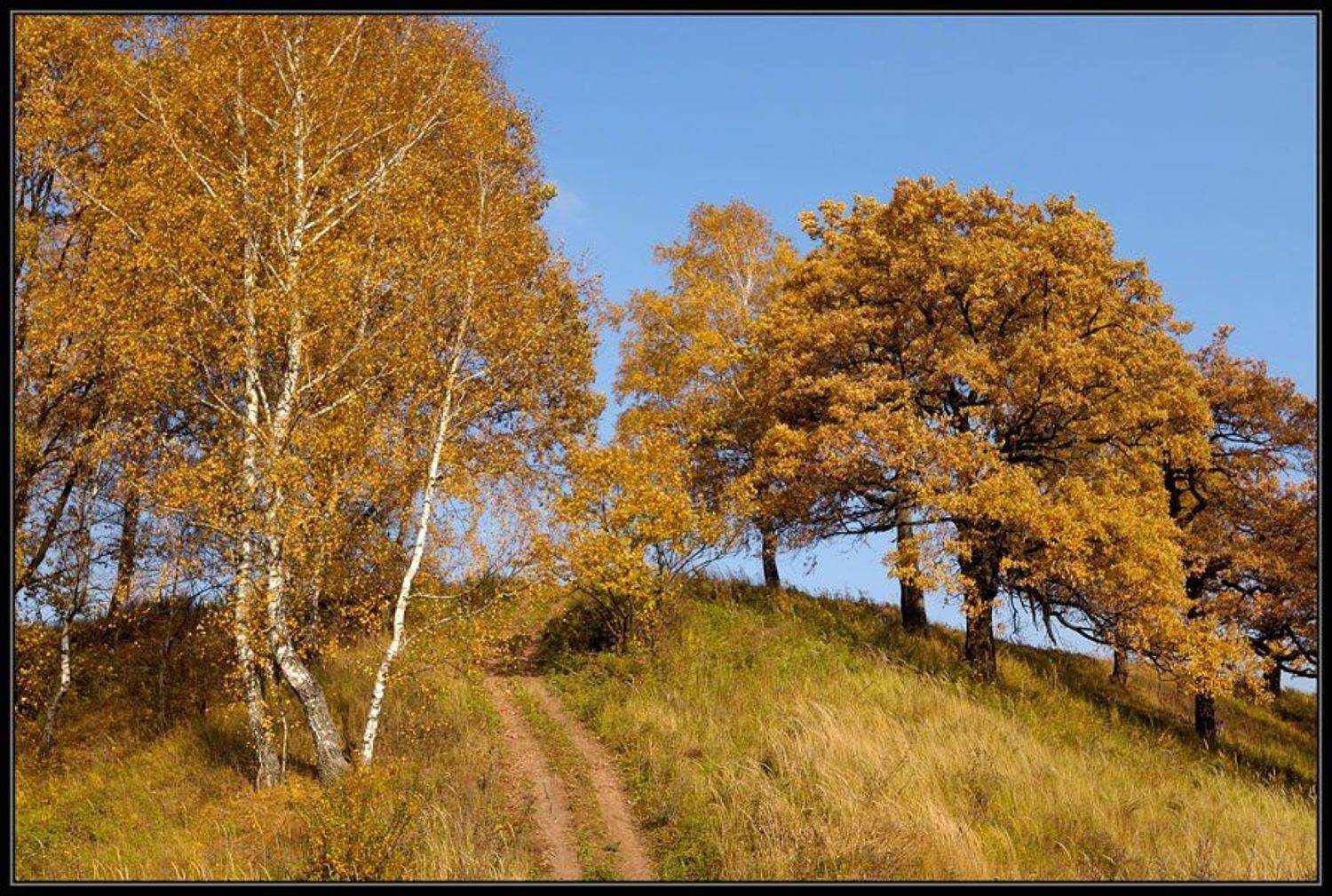 осень, холм, Капустин Николай