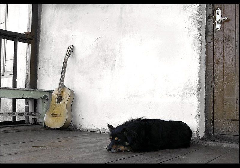 Когда Хозяина Нетphoto preview