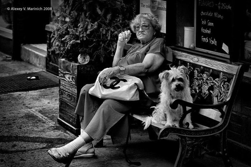 дама, собачка, сша, бруклин, гринпоинт, лето, жанр, ч/б, репортаж, маринич, алексей Дама с собачкой...photo preview