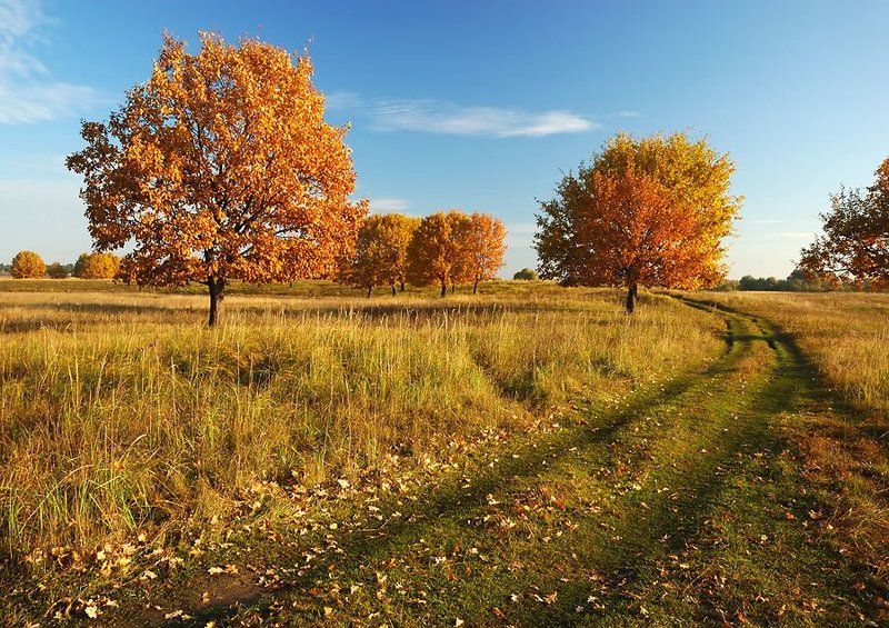 золотая, осень, ильдар, гилязов Осень продолжается...photo preview