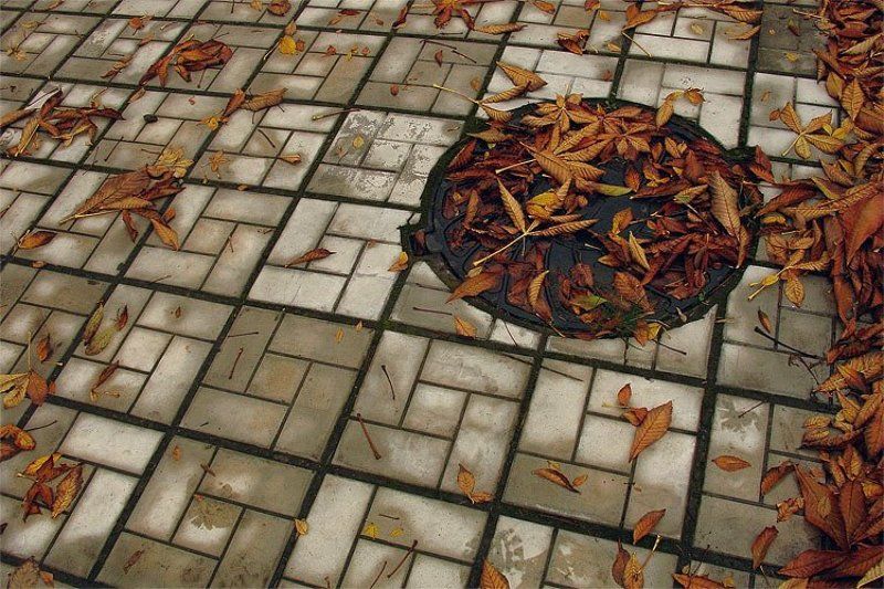 2008, цвет, цифра, осень, листья, люк, плитка, оранжевый, серый, autumn, fall, orange, gray без названияphoto preview