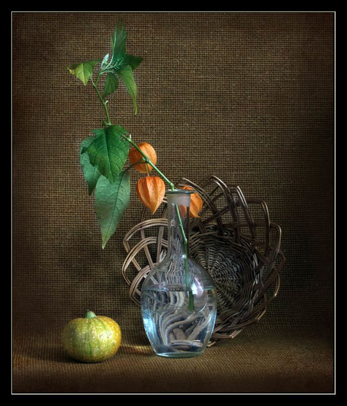 натюрморт с физалисом и тыквойphoto preview