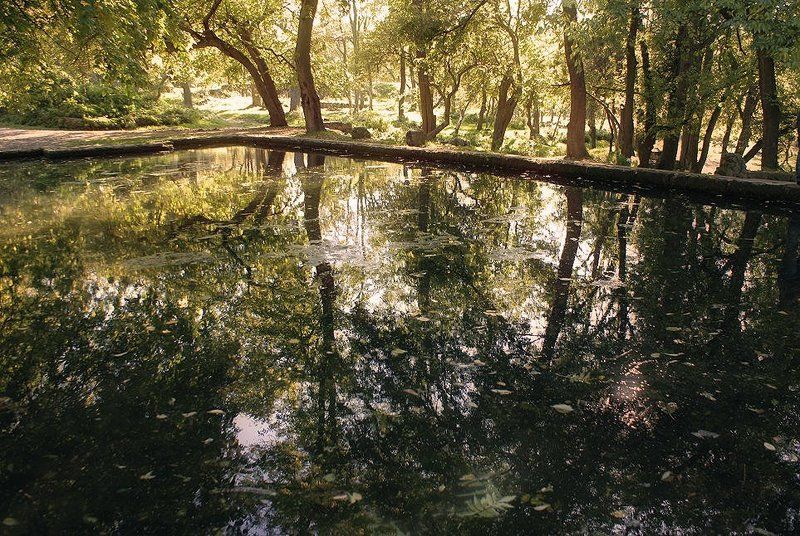 осень , отражения Reflectionsphoto preview