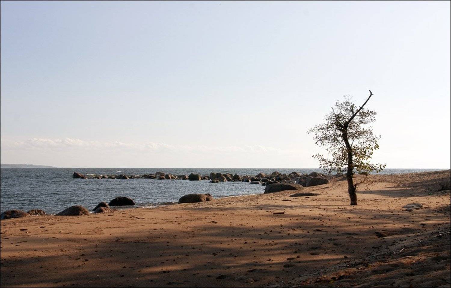 , Вячеслав Одинцов