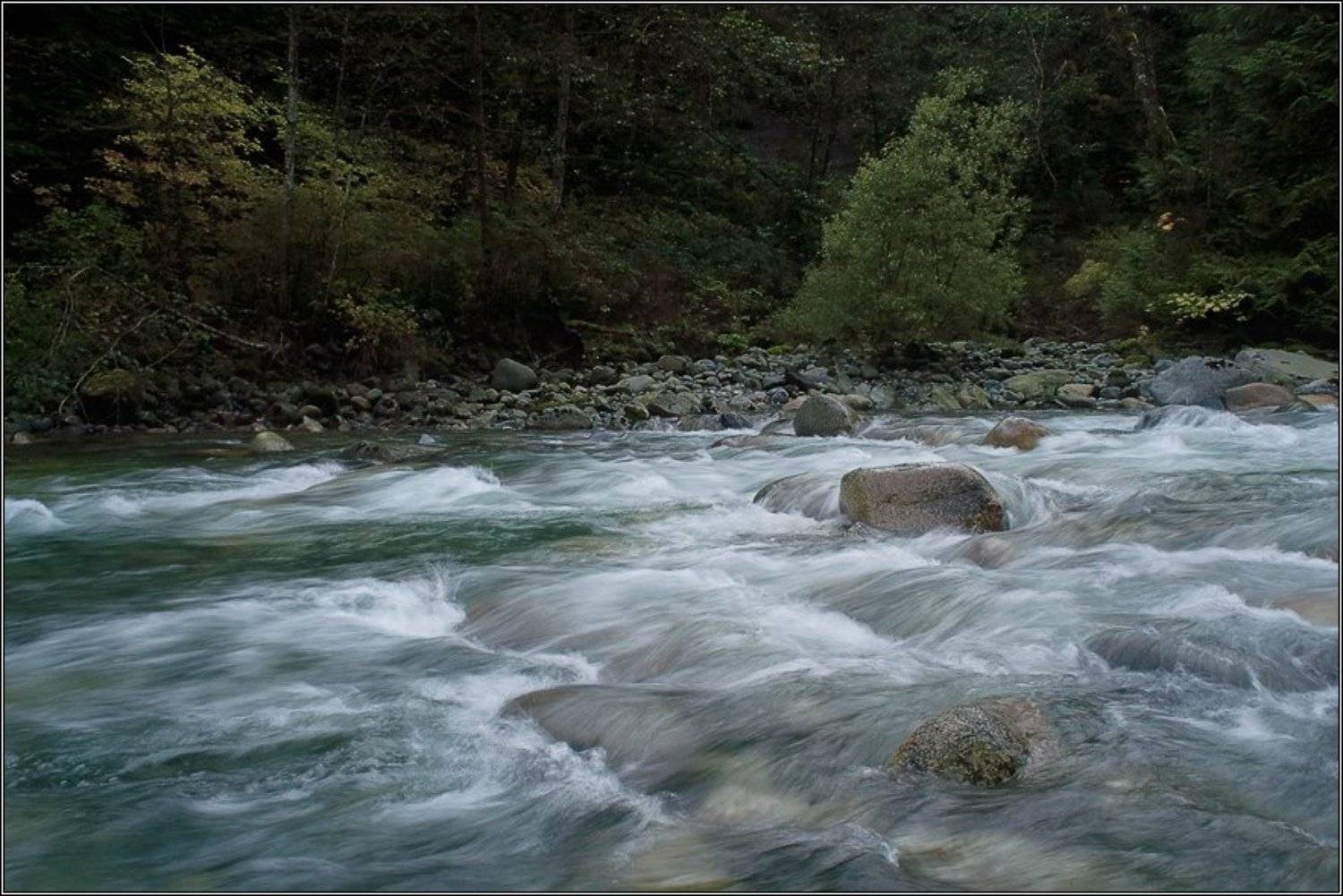 Вроде как и не осень.... Автор: Alexandre Michourovskii , Alexandre Michourovskii