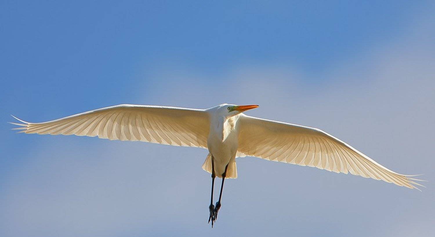 Полеты 19. Автор: Владимир Кучеренко , Владимир Кучеренко