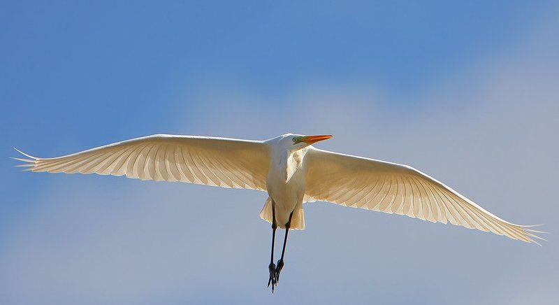 Полеты 19photo preview