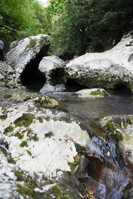 абхазия, страна души Искусство природной резьбыphoto preview