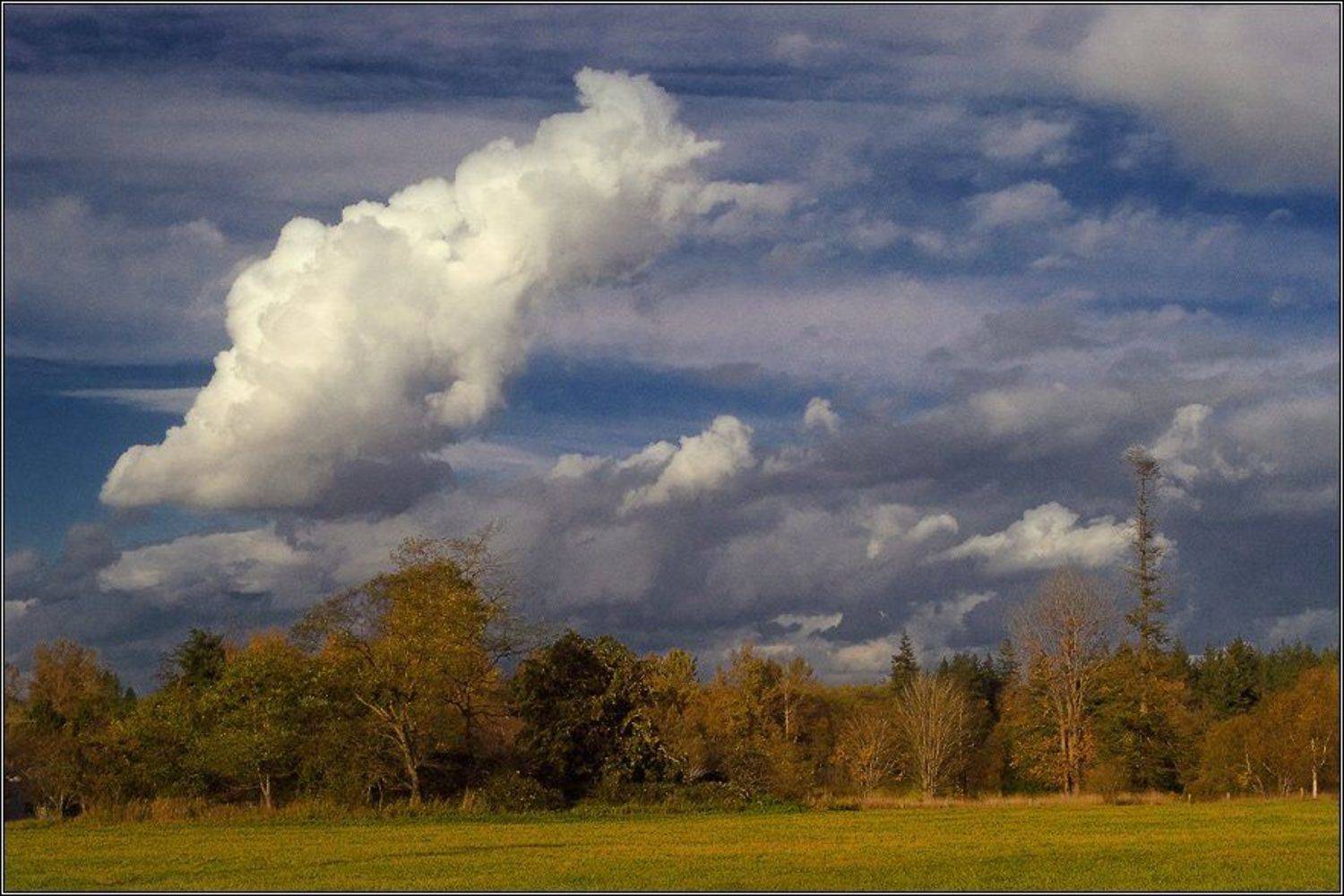 , Alexandre Michourovskii