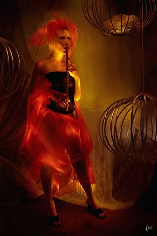 Уроки музыки фрау Шульцphoto preview