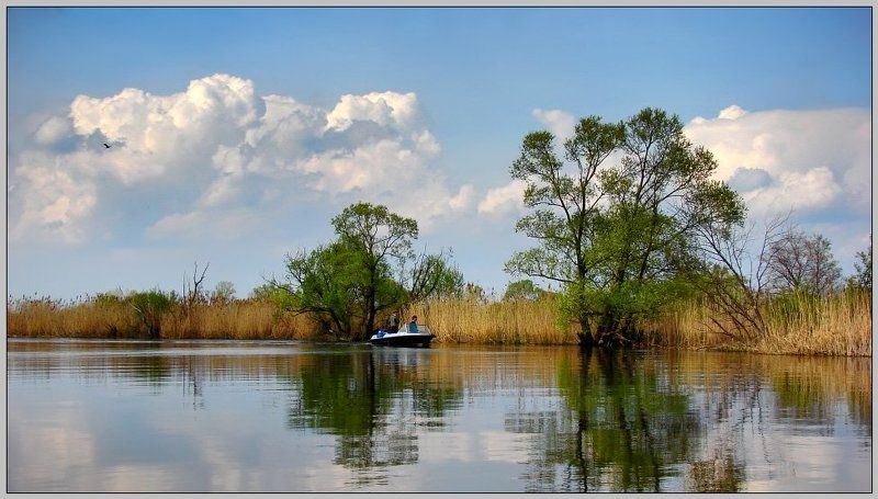 троллинг или ловля на дорожку ..photo preview