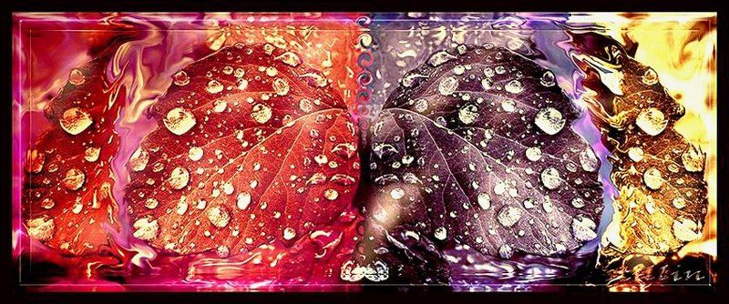 мыслиphoto preview