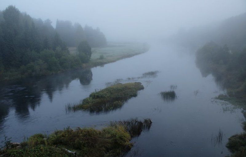 Туманчикphoto preview