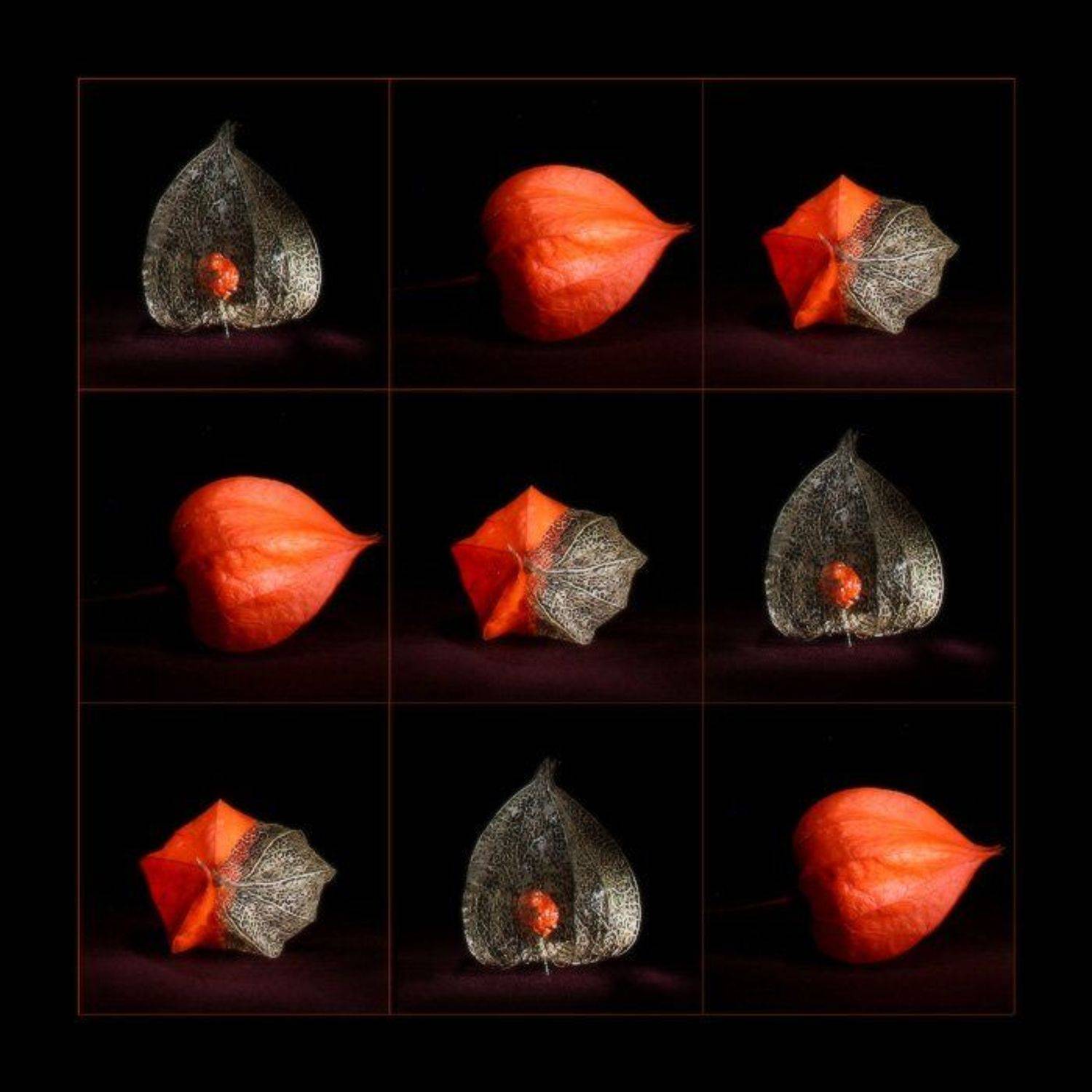 световая кисть, хэндмэйд, Айрин