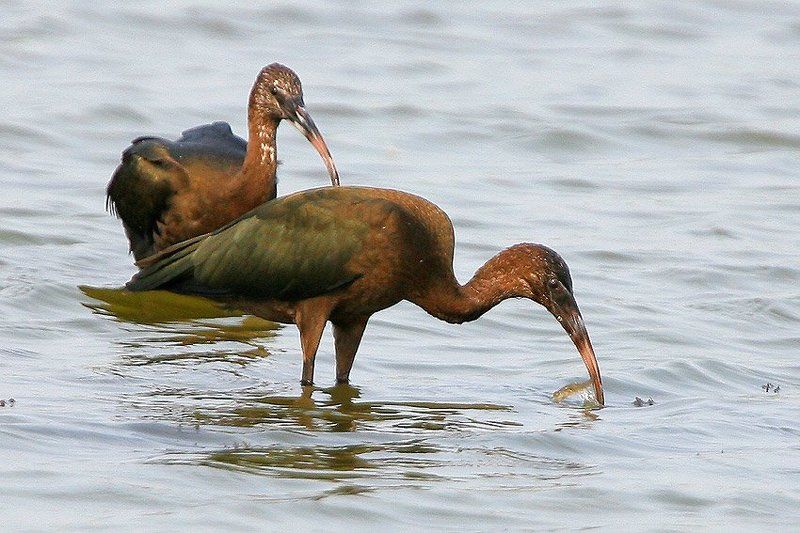 Рыбакиphoto preview