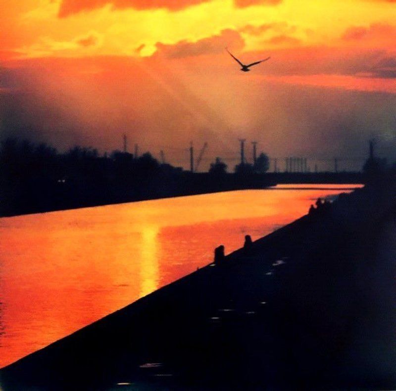 orwocolor nc19, process before 1980 THE_ONEphoto preview