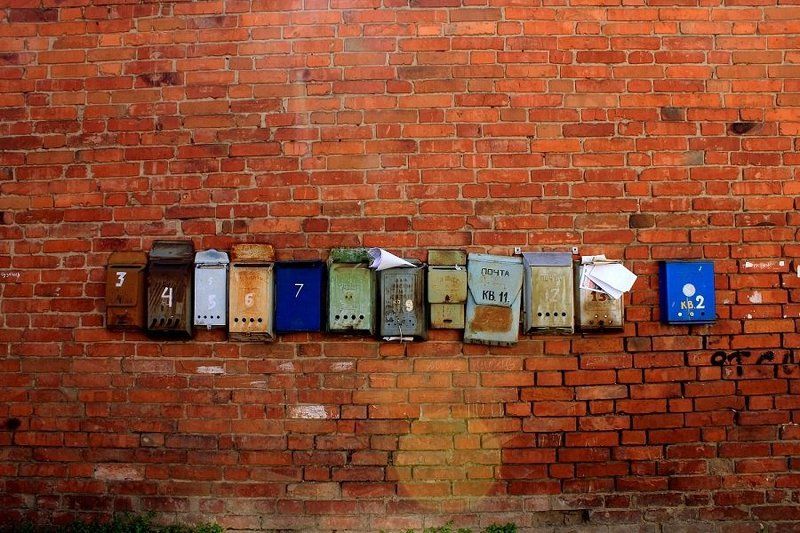 ...............photo preview