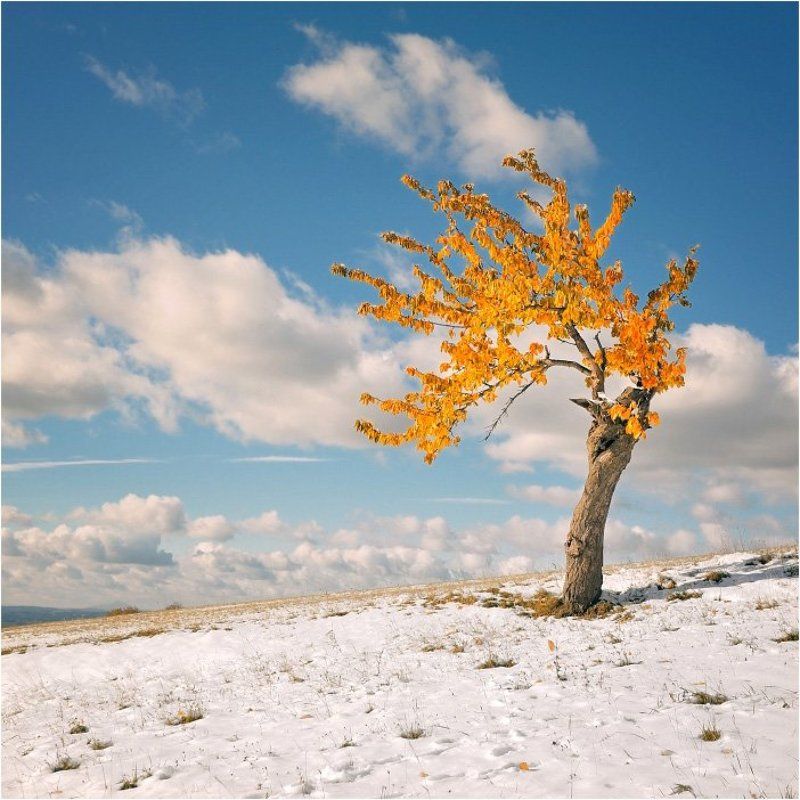 DOLOMITESphoto preview