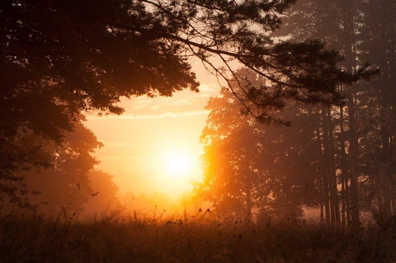 Утроphoto preview