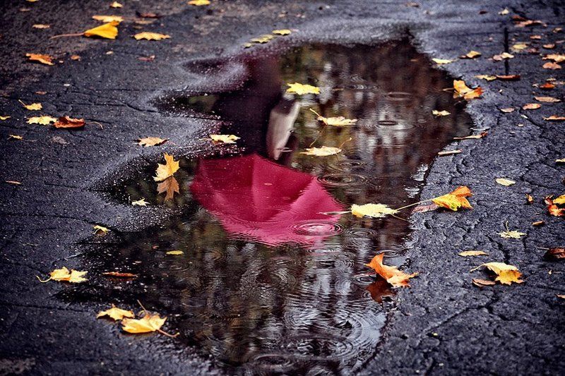 Осенние зарисовкиphoto preview