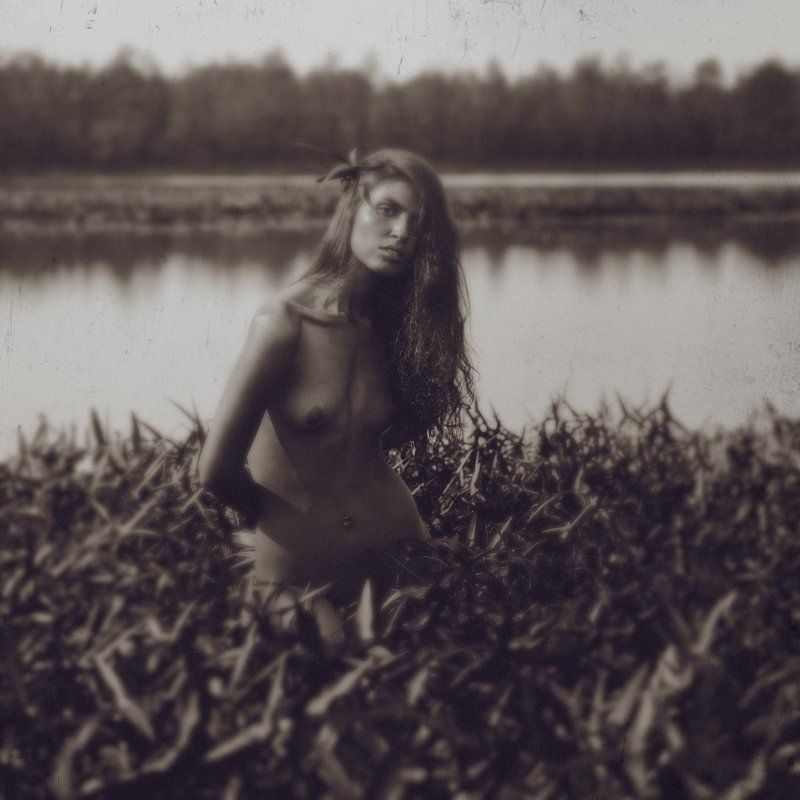 Indian фото превью