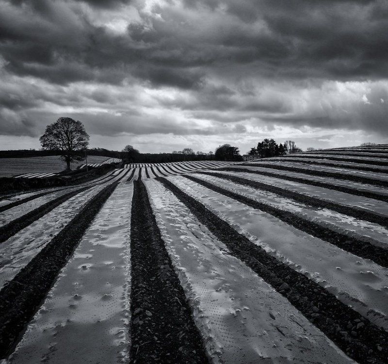 Geometrical Landscapephoto preview