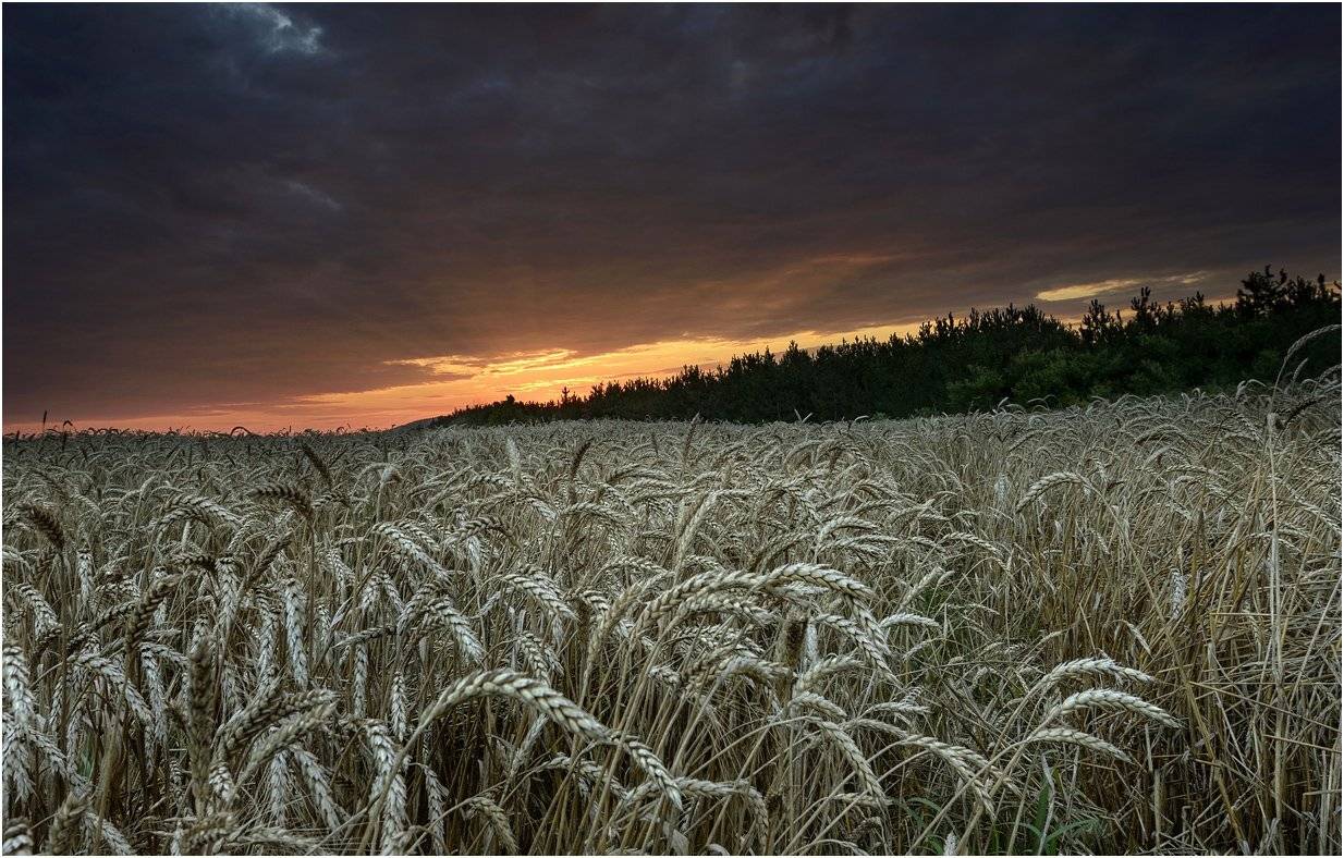 Автор: Румен Паисиев , Румен Паисиев
