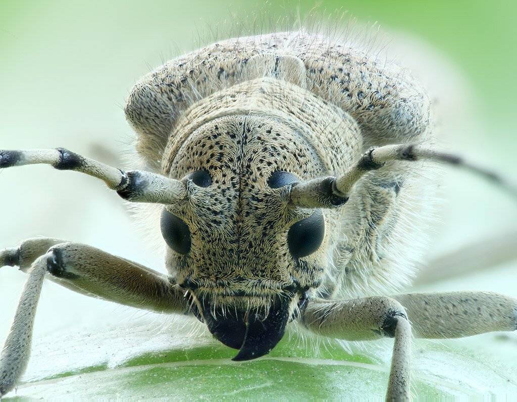 , Сергей Таланов